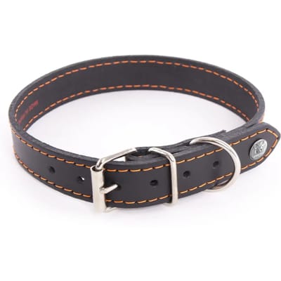 Hondenhalsband Martin Sellier Flash