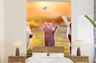 Behang - Fotobehang Katten - Vlinder - Zonsondergang - Gras - Natuur - Breedte 155 cm x hoogte 240 cm