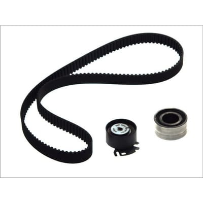 Distributieriemset SKF VKMA 02242