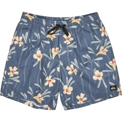 Zwemshort Quiksilver Everyday Straight Volley (17")