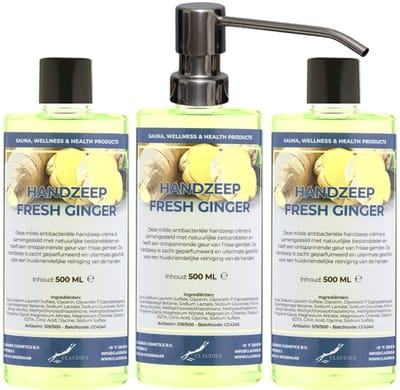Handzeep Fresh Ginger 500 ml - set van 3 stuks - met gratis RVS zilverkleurige pomp - Voordeelverpakking
