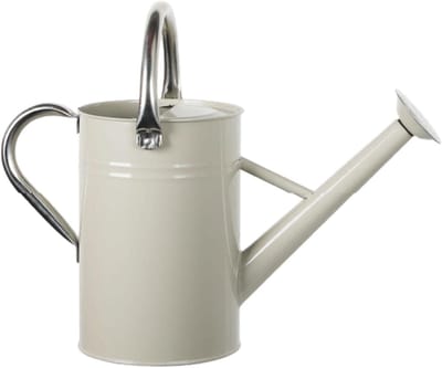 Metalen Gieter, Fijne Straal, Ergonomische Handgreep, Roest, Met Afneembare Tuit, 5 L, Wit