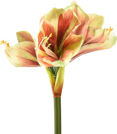 Kunstamaryllisbloem in roze en geel - 66 cm - ideaal cadeau-idee en st
