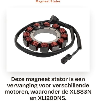 Dailygoods- Magneet Stator Vervanging 12 Spoel - 2 Draad - Compatibel met XL883N/XL883L/XL1200NS - OEM 29900068 - Hoogwaardige Kwaliteit - Voor 2019-2022 Modellen - Motorstator