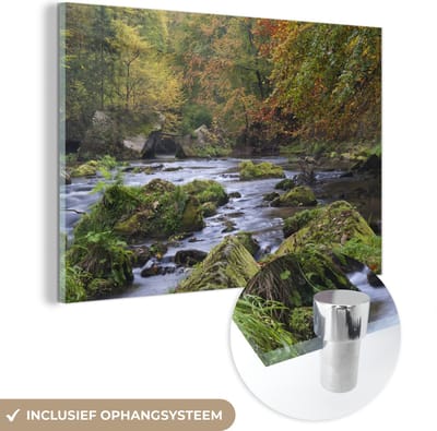 ® Glasschilderij 180x120 cm - Schilderij acrylglas - Herfst gekleurde bossen in het Nationaal park České Švýcarsko in Tsjechië - Foto op glas - Muurdecoratie woonkamer - Wanddecoratie slaapkamer - Schilderijen
