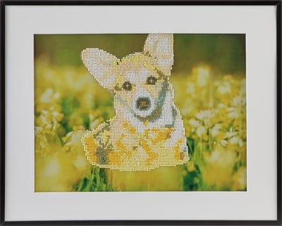 Diamond painting | Hond| Afmeting: 40 x 50 CM | Inclusief diamond painting pen | Diamond painting volwassenen