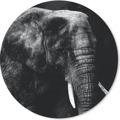 Muismat rond 20x20 cm - Mousepad Olifant - Dieren - Zwart - Wit - Ronde muismatten