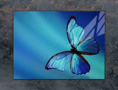 TMK ArtDeko - Snijplank - 70x52 cm - Motief: Vlinder - Veilig en Hygiënisch