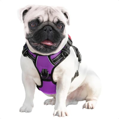 JAXY Hondenharnas - Hondentuig - Hondentuigje Kleine Hond - Y Tuig Hond - Harnas Hond - Anti Trek Tuig Hond - Reflecterend - Maat S - Paars