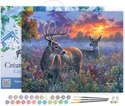 Figured'Art Schilderen op Nummer Volwassenen met lijst - Hertenpaar - Handwerk acrylverf Kit DIY Compleet - 40x50cm Canvas al ingelijst