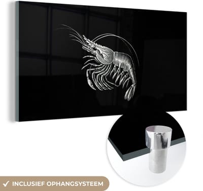 MuchoWow® Glasschilderij 40x20 cm - Schilderij acrylglas - Garnalen - Vintage - Ernst Haeckel - Dieren - Kunst - Foto op glas - Schilderijen
