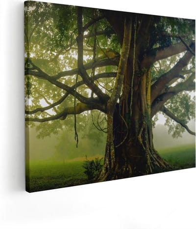 Artaza Canvas Schilderij Boom - 50x40 cm - Wanddecoratie Levensboom - Muurdecoratie Landschap - Kamer Accessoires Mist