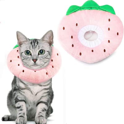 CLVP® Kattenkraag voor Nazorg - Beschermkraag - Roze