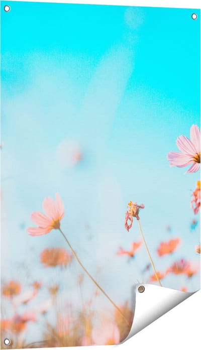 Gards Tuinposter Paarse Kosmos Bloemen - 60x90 cm - Tuindoek - Tuindecoratie - Wanddecoratie buiten - Tuinschilderij