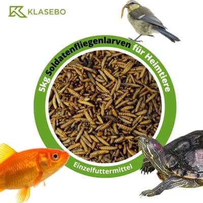 Soldatenvliegenlarven 5kg, hele gedroogde Hermetia illucens