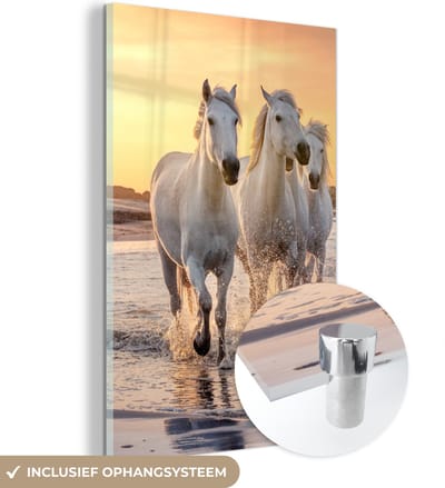 MuchoWow® Glasschilderij 120x180 cm - Schilderij acrylglas - Paarden - Zon - Zee - Strand - Dieren - Foto op glas - Schilderijen