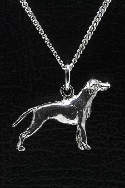 Zilveren Vizsla staande hond korthaar met staart ketting hanger - groot