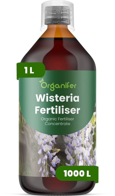 Vloeibare Meststof Voor Wisteria - 1 L Voor 1000 L - Npk 2-1-8 - Bevordert Uitbundige Bloei En De Vorming Van Bloemsporen - Versterkt Houtige Klimplanten En Verbetert De Stabiliteit - Bevordert Langdurige Vitaliteit En Sierwaarde - Organifer