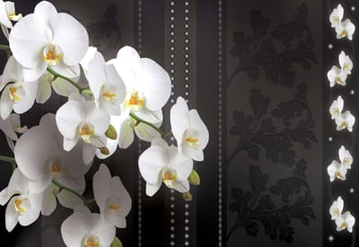 Fotobehang Flowers Floral Orchids Pattern | XL - 208cm x 146cm | 130g/m2 Vlies