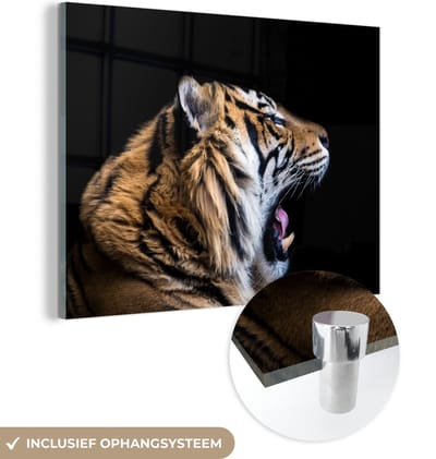 MuchoWow® Glasschilderij 160x120 cm - Schilderij acrylglas - Tijger - Dieren - Portret - Foto op glas - Schilderijen