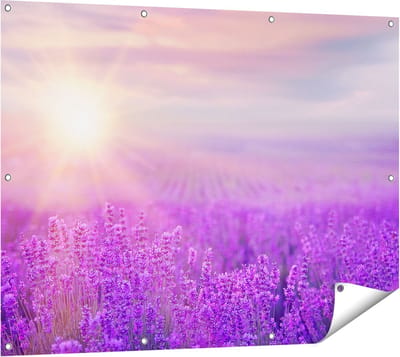 Gards Tuinposter Bloemenveld met Paarse Lavendel - 120x90 cm - Tuindoek - Tuindecoratie - Wanddecoratie buiten - Tuinschilderij