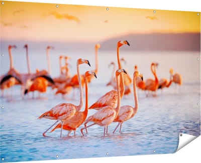 Gards Tuinposter Kudde Flamingo's in het Water - 180x120 cm - Tuindoek - Tuindecoratie - Wanddecoratie buiten - Tuinschilderij