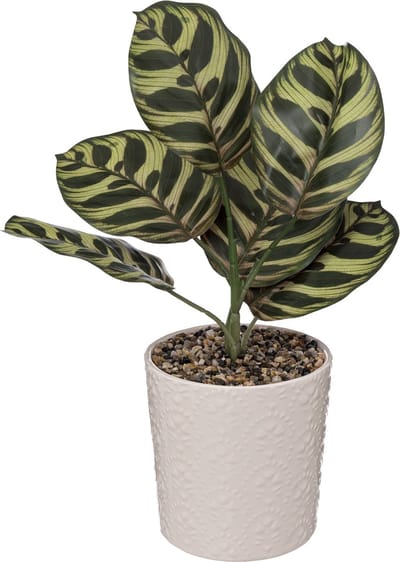 Atmosphera Kunstplant - Plant - H35cm - 2 Varianten - Nacht