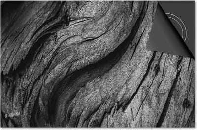 Inductie beschermer 60x60 - afdekplaat inductie mat - Dietrix Kookplaat beschermer - Exclusief - Hout en Boom - Boomstronk Zwart wit