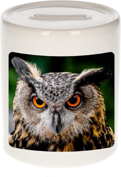 Dieren uil oehoe foto spaarpot 9 cm jongens en meisjes - Cadeau spaarpotten uilen liefhebber