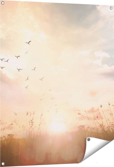 Gards Tuinposter Silhouet Vogels tijdens Zonsopkomst - 80x100 cm - Tuindoek - Tuindecoratie - Wanddecoratie buiten - Tuinschilderij
