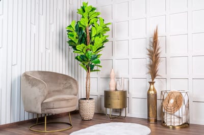 NeverLeafs Vioolbladplant kunstplant 185 cm - Stijlvolle vioolbladplant