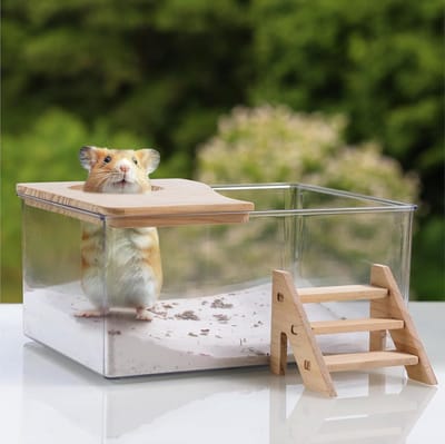 Hamster Zandbad - Hamster Toilet - Vachtverzorging - Inclusief Deksel - 21x16x10 cm - Transparant