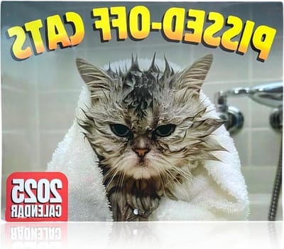 Allecto Plus - Kittens Kalender 2025 Dier Selfies Voor Kattenliefhebbers 28 x 22 cm