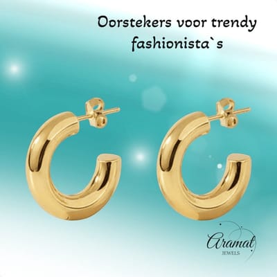 Aramat Jewels | Oorbellen | Massieve Halve Oorringen Glad RVS 25x8mm | Goudkleur | |8mm | Staal | Volwassenen | Verkleurd niet