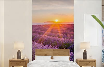 Behang - Fotobehang Lavendel - Zonsondergang - Bloemen - Paars - Breedte 120 cm x hoogte 240 cm