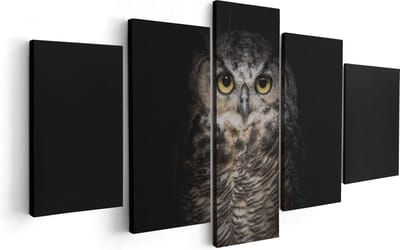 Artaza Canvas Schilderij Vijfluik Uil Op Een Tak In De Nacht - 100x50 - Foto Op Canvas - Canvas Print