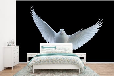 Behang - Fotobehang Duif - Vogel - Zwart - Wit - Portret - Breedte 375 cm x hoogte 280 cm