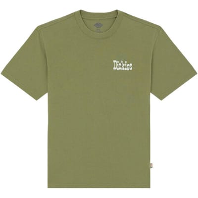 Dickies T-shirt korte mouw dk0a88jvk721