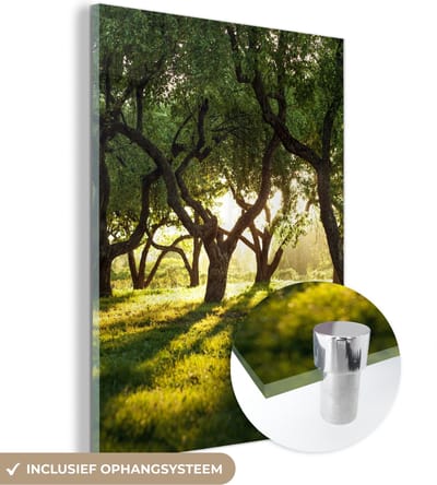 MuchoWow® Glasschilderij 30x40 cm - Schilderij acrylglas - Bomen - Natuur - Zon - Foto op glas - Schilderijen