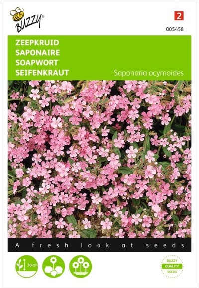 Saponaria ocymoides (zeepkruid)