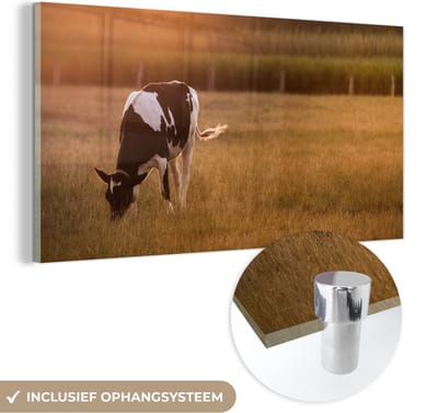 MuchoWow® Glasschilderij 40x20 cm - Schilderij acrylglas - Koe - Zon - Dieren - Foto op glas - Schilderijen