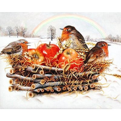 Volledige ronde boor 5D DIY diamant schilderij appel vogel 3D diamant borduurwerk kruissteek 20X30CM beige
