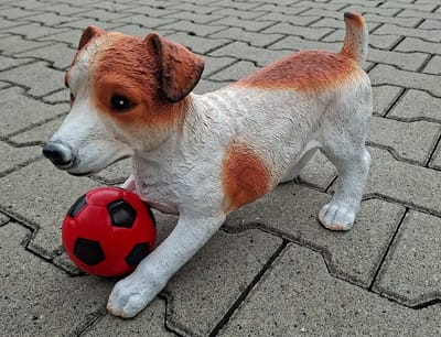 Jack Russell Beeld – Realistisch Hondenbeeld Speelse Houding – Polystone – L40 x B17 x H25 cm – Decoratie voor Binnen en Buiten