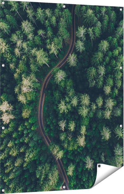 Gards Tuinposter Weg Door Bos met Bomen - Bovenaanzicht - 90x120 cm - Tuindoek - Tuindecoratie - Wanddecoratie buiten - Tuinschilderij