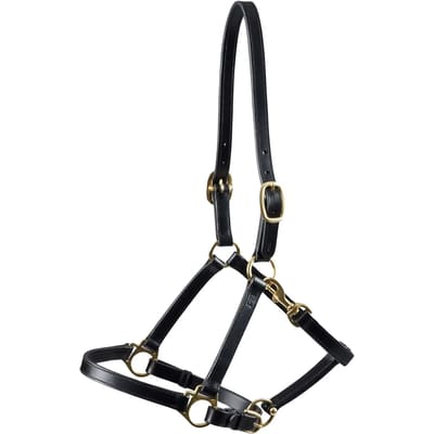 Leren halster voor paarden Premier Equine