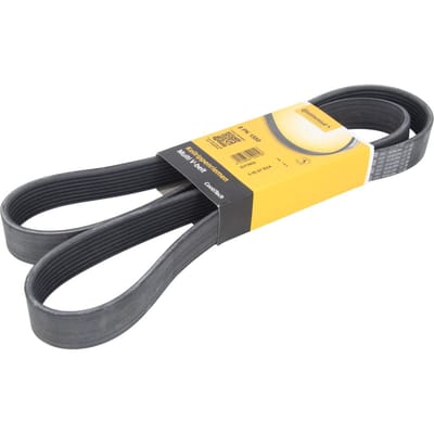 Continental Ctam V-riem CONTINENTAL 8PK1550