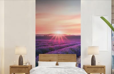 Behang - Fotobehang Lavendel - Paars - Bloemen - Lucht - Breedte 120 cm x hoogte 240 cm