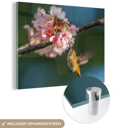 ® Glasschilderij 160x120 cm - Schilderij acrylglas - Vogel - Kolibrie - Kersenbloesem - Foto op glas - Muurdecoratie woonkamer - Wanddecoratie slaapkamer - Schilderijen
