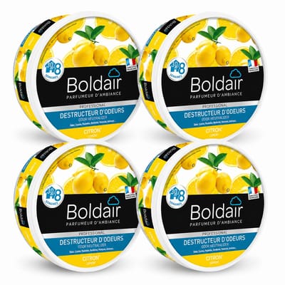 Boldair Geurverdrijver Gel Citron 300 g - Set van 4 Stuks - Professionele Luchtverfrisser Geurneutralisator - 8 Weken Werking tot 30 m² - Made in France Grasse