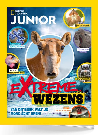 National Geographic Junior - Extreme Wezens - Vakantieboek voor kinderen